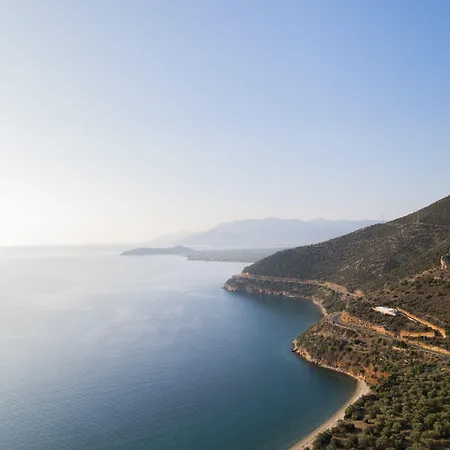 Blue Horizon 4*